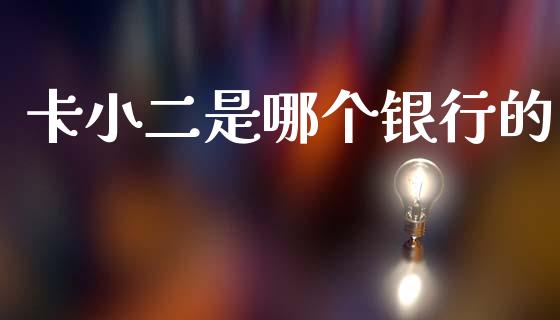 卡小二是哪个银行的_https://cj007.lansai.wang_财经新闻_第1张