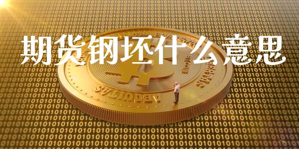 期货钢坯什么意思_https://cj007.lansai.wang_债券资讯_第1张