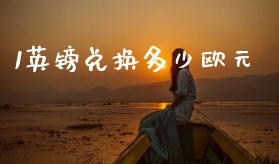 1英镑兑换多少欧元_https://cj007.lansai.wang_金融监管_第1张