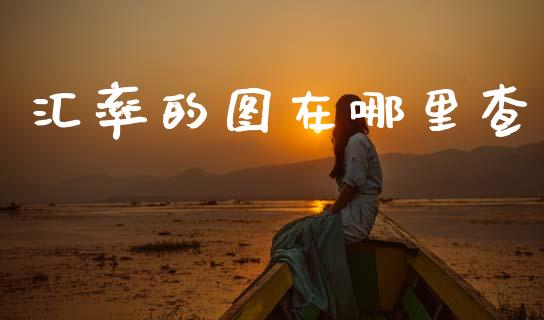 汇率的图在哪里查_https://cj007.lansai.wang_财经新闻_第1张
