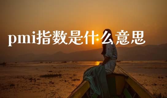 pmi指数是什么意思_https://cj007.lansai.wang_外汇交易_第1张