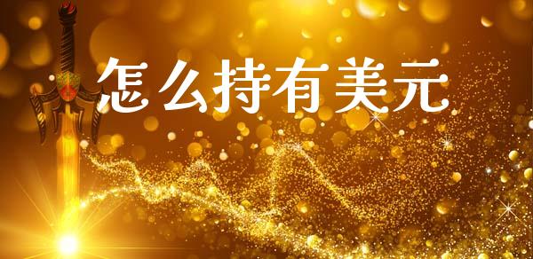 怎么持有美元_https://cj007.lansai.wang_债券资讯_第1张