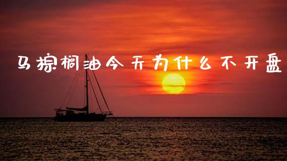 马棕榈油今天为什么不开盘_https://cj007.lansai.wang_金融监管_第1张