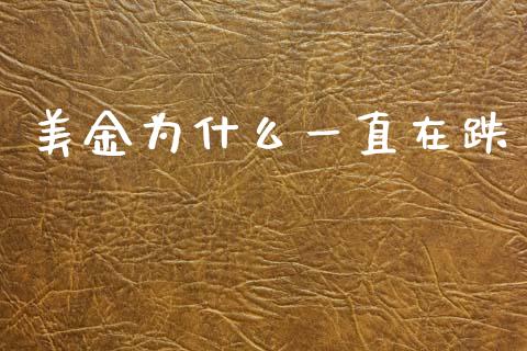 美金为什么一直在跌_https://cj007.lansai.wang_全球市场_第1张
