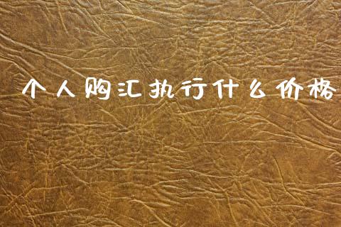 个人购汇执行什么价格_https://cj007.lansai.wang_金融监管_第1张