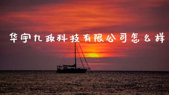 华宇九政科技有限公司怎么样_https://cj007.lansai.wang_期货开户_第1张