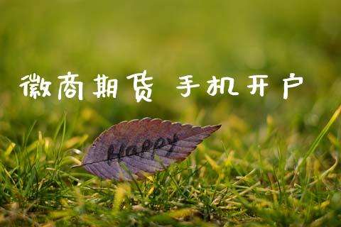 徽商期货 手机开户_https://cj007.lansai.wang_金融监管_第1张