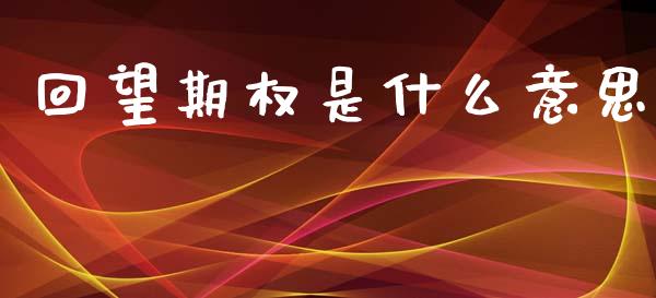 回望期权是什么意思_https://cj007.lansai.wang_金融监管_第1张