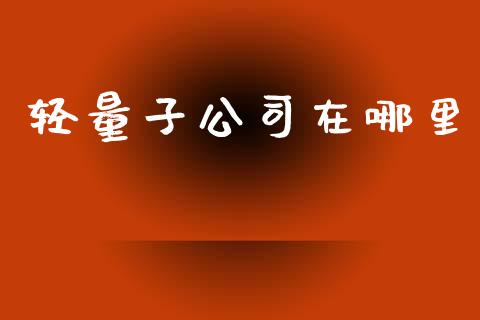 轻量子公司在哪里_https://cj007.lansai.wang_金融监管_第1张