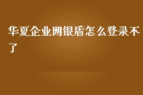 华夏企业网银盾怎么登录不了_https://cj007.lansai.wang_金融监管_第1张