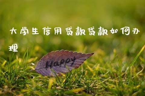 大学生信用贷款贷款如何办理_https://cj007.lansai.wang_全球市场_第1张