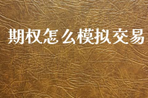 期权怎么模拟交易_https://cj007.lansai.wang_财经新闻_第1张