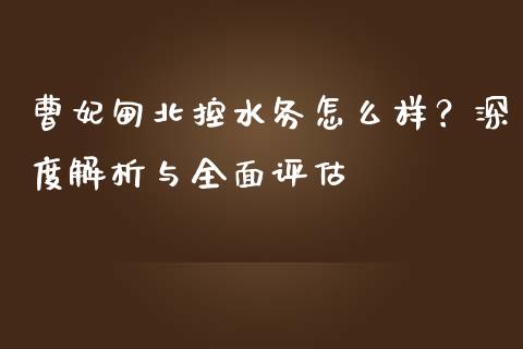 曹妃甸北控水务怎么样？深度解析与全面评估_https://cj007.lansai.wang_财经新闻_第1张