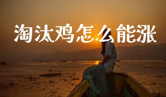 淘汰鸡怎么能涨_https://cj007.lansai.wang_外汇交易_第1张