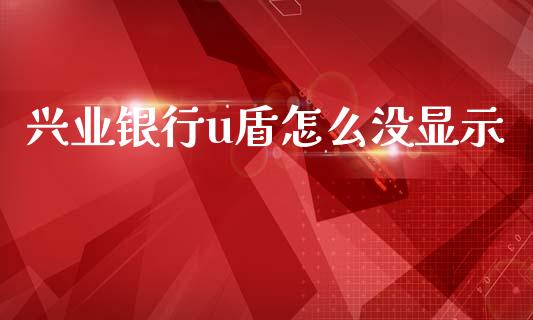 兴业银行u盾怎么没显示_https://cj007.lansai.wang_金融监管_第1张