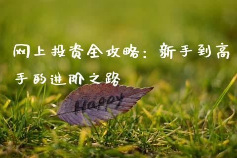 网上投资全攻略：新手到高手的进阶之路_https://cj007.lansai.wang_全球市场_第1张