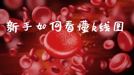 新手如何看懂k线图_https://cj007.lansai.wang_期货开户_第1张