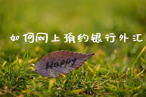 如何网上预约银行外汇_https://cj007.lansai.wang_外汇交易_第1张