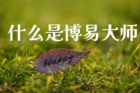 什么是博易大师_https://cj007.lansai.wang_金融监管_第1张