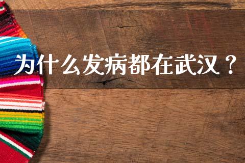 为什么发病都在武汉？_https://cj007.lansai.wang_债券资讯_第1张