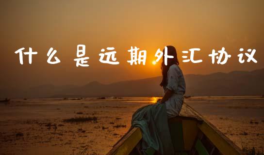 什么是远期外汇协议_https://cj007.lansai.wang_债券资讯_第1张