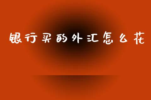 银行买的外汇怎么花_https://cj007.lansai.wang_外汇交易_第1张