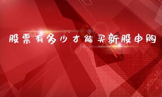 股票有多少才能买新股申购_https://cj007.lansai.wang_债券资讯_第1张