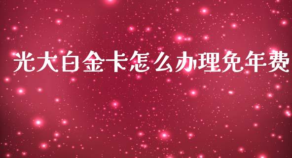 光大白金卡怎么办理免年费_https://cj007.lansai.wang_期货开户_第1张