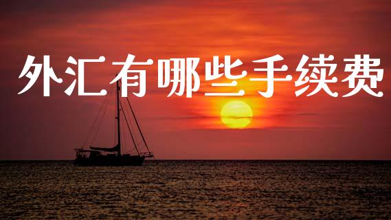 外汇有哪些手续费_https://cj007.lansai.wang_外汇交易_第1张