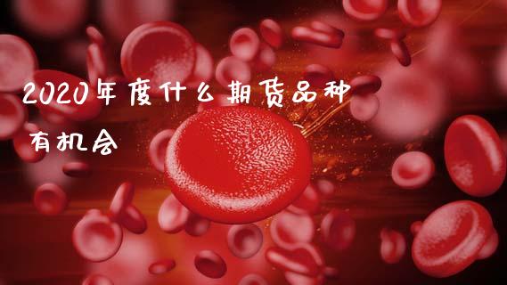 2020年度什么期货品种有机会_https://cj007.lansai.wang_全球市场_第1张