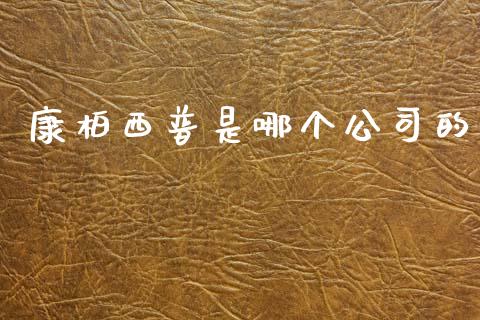 康柏西普是哪个公司的_https://cj007.lansai.wang_期货开户_第1张