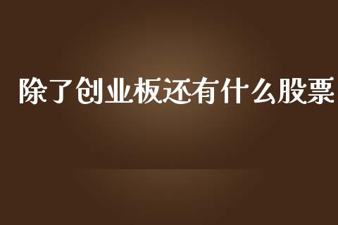 除了创业板还有什么股票_https://cj007.lansai.wang_金融监管_第1张