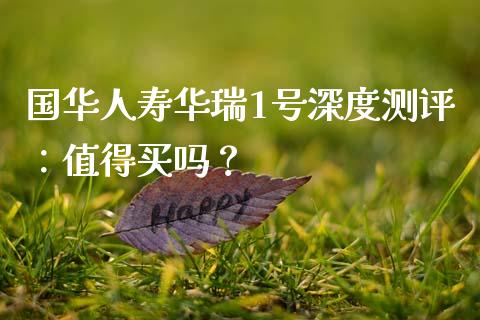 国华人寿华瑞1号深度测评：值得买吗？_https://cj007.lansai.wang_财经新闻_第1张