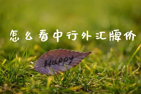 怎么看中行外汇牌价_https://cj007.lansai.wang_外汇交易_第1张