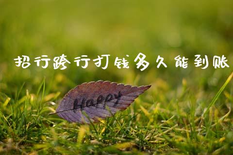 招行跨行打钱多久能到账_https://cj007.lansai.wang_金融监管_第1张