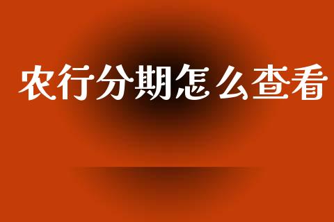 农行分期怎么查看_https://cj007.lansai.wang_财经新闻_第1张