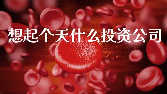 想起个天什么投资公司_https://cj007.lansai.wang_财经新闻_第1张