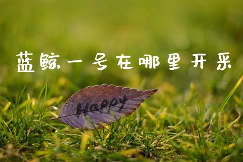 蓝鲸一号在哪里开采_https://cj007.lansai.wang_全球市场_第1张