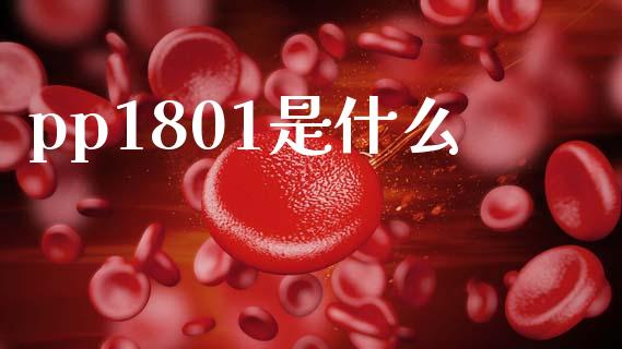 pp1801是什么_https://cj007.lansai.wang_全球市场_第1张
