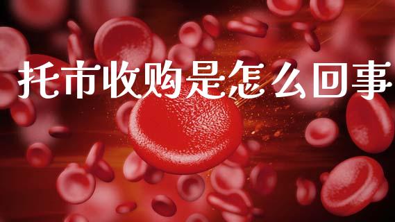 托市收购是怎么回事_https://cj007.lansai.wang_财经新闻_第1张