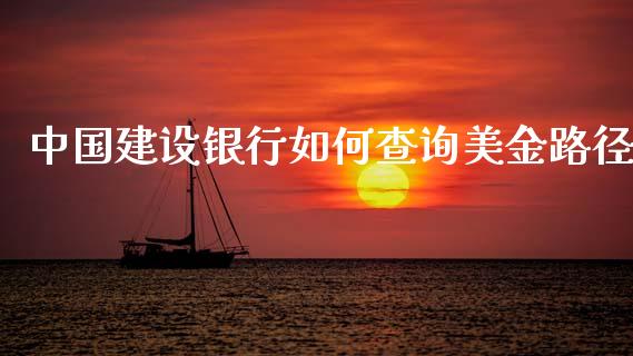 中国建设银行如何查询美金路径_https://cj007.lansai.wang_外汇交易_第1张