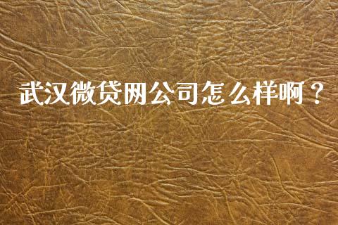 武汉微贷网公司怎么样啊?_财经新闻_第1张_期货开户_金融监管_外汇交易_债券资讯_全球市场_财经新闻 武汉微贷网公司怎么样啊?_https://cj007.lansai.wang_财经新闻_第1张