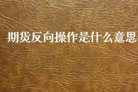 期货反向操作是什么意思_https://cj007.lansai.wang_外汇交易_第1张