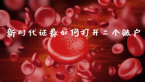 新时代证券如何打开二个账户_https://cj007.lansai.wang_金融监管_第1张