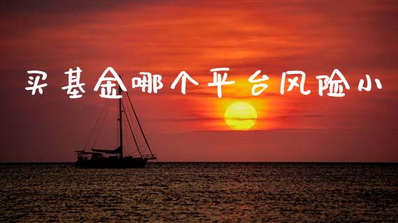 买基金哪个平台风险小_https://cj007.lansai.wang_债券资讯_第1张