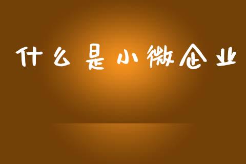 什么是小微企业_https://cj007.lansai.wang_全球市场_第1张