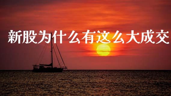 新股为什么有这么大成交_https://cj007.lansai.wang_全球市场_第1张