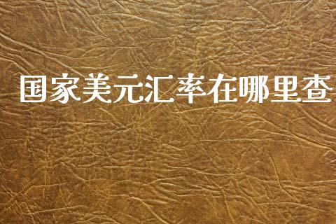 国家美元汇率在哪里查_https://cj007.lansai.wang_全球市场_第1张
