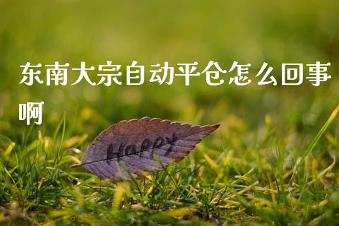 东南大宗自动平仓怎么回事啊_https://cj007.lansai.wang_外汇交易_第1张