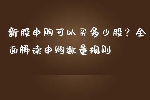 新股申购可以买多少股？全面解读申购数量规则_https://cj007.lansai.wang_外汇交易_第1张